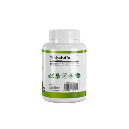 VitaSanum®- Bärentraube (Arctostaphylos uva-ursi) 600 mg 100 Kapseln