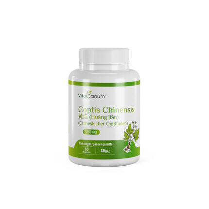 VitaSanum®- Coptis Chinensis 黄连 (Huáng lián) (Chinesischer Goldfaden) 500 mg 60 Kapseln